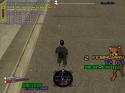 16486_gta_sa_2014-02-01_11-00-16-847.