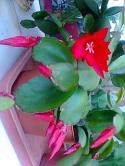 16504_Foto0321.