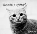 16646_45atqACjc-A.