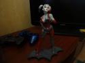 16678_DSC00264.