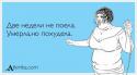16753_hei.