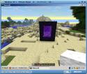 1682_minecraft-wtf.