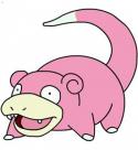 1683slowpoke.