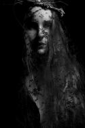 16848_Amundson.