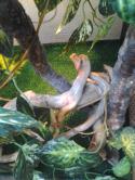 16901_Foto0864.
