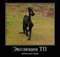 16906_getImage.
