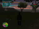 16955_sa-mp-013.