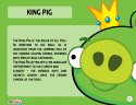 17043_King_Pig_Toy_Care.