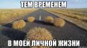 17135_yplvpl3OQzE.