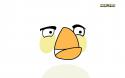 1718angry_birds___white_bird_by_tucker28-d492jdy.