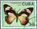 17339_cuba_papillon4.