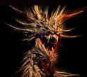 17344_Fierce_dragon_1.