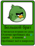 17507_bb_bird_kartochka.