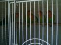 1756_IMAG0002.