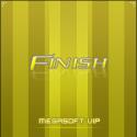 1767finish.