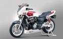 17887_y_4dcc75d8.