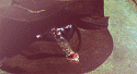 18045_tumblr_m7qjqfXsAC1qiyseco5_250.