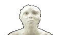 18056_iE7uXZHeOV2Fk.
