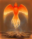 1815phoenix_17.