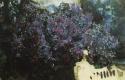 18263_lilac_1.