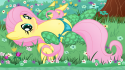 1844panties_and_stockings_for_fluttershy_by_jungleanimal-d4plf70.