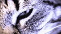 18601def962c09VYQFBIB_13390_2862e84794.