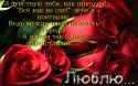 18676_bo1rdovye_rozy.
