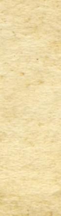 18707_fon1.