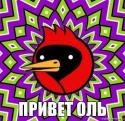 18726_omsk15.