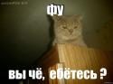 18794_YLEHWdLSS5M.