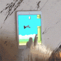 1890_funny-gif-bird-playing-video-games.