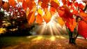 19129_Autumn_wallpapers_08_.