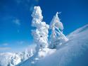 1919winter.