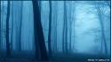 19270_53959_54b564e2_L.