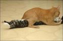 19361186394507_love_cats.