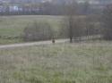 19391_x_0597a2d1.