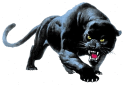19403_graphics-panther-826267.