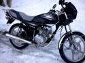 195DSC01372.