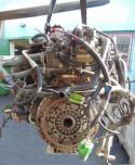 19638_4406195resgekickunanta12328861.