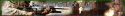 1978cod2.