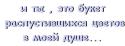 19930_11Be11zymya11nnyi.