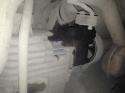 19981_IMG_2570.