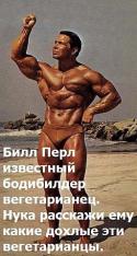 19992_x_bb497825.