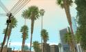 20008_DLC_HQ_California_palms_1_001.