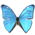 20196_Morpho-Adonis-Huallega-Top-icon.