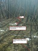 20390_foto0100.