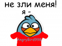 20417_angrybird998.