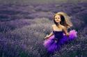 20503_Lilimetall.