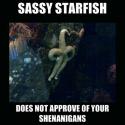 20560_cool-sassy-starfish-sea.