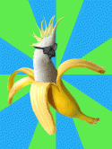 20598_banana_parrot__gif__by_valdevia-d5v1vzd.